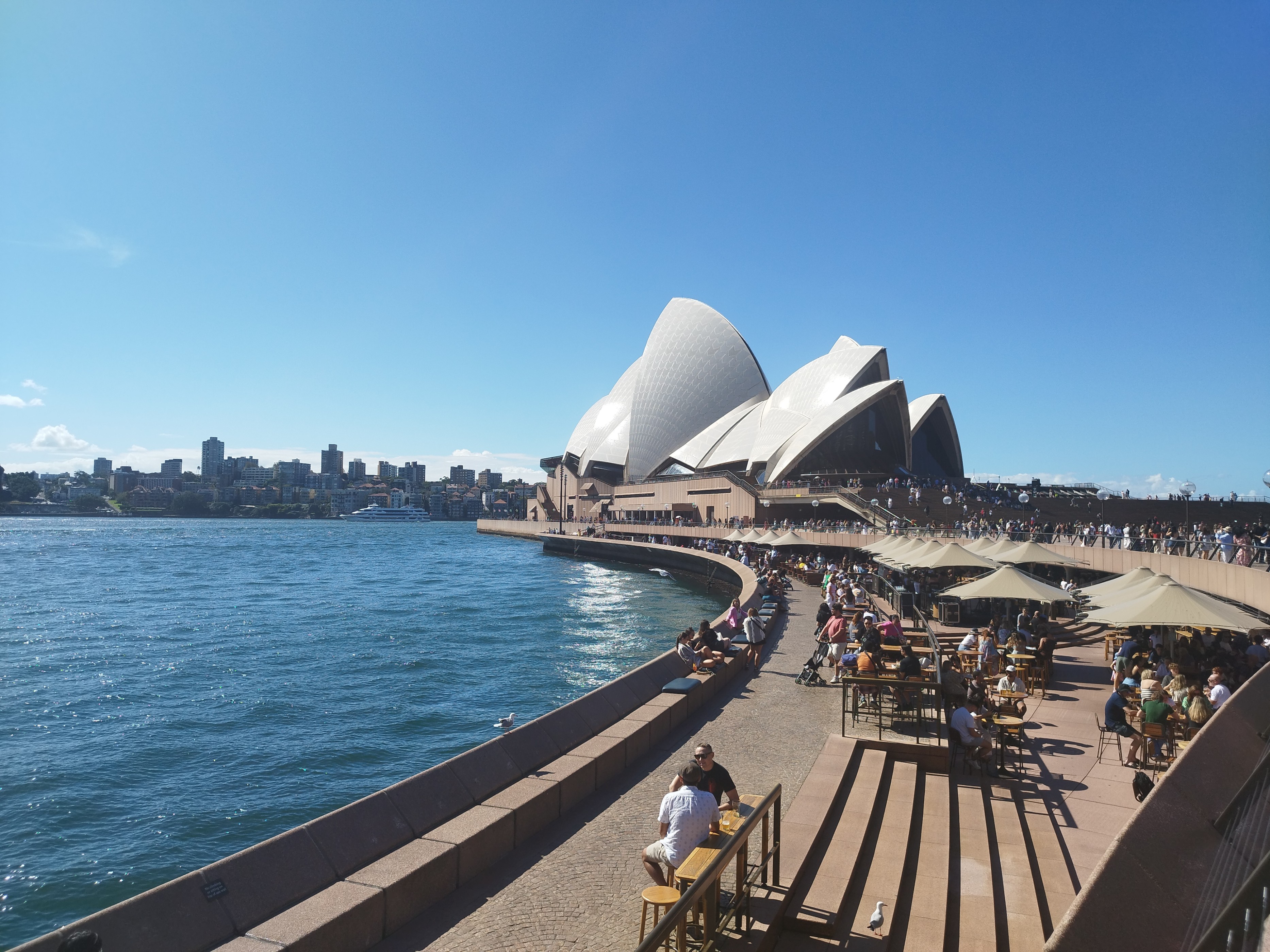 photo 2025-SYDMEL-03